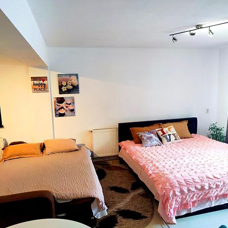 Studioul De Vis Apartment บราชอฟ ภายนอก รูปภาพ