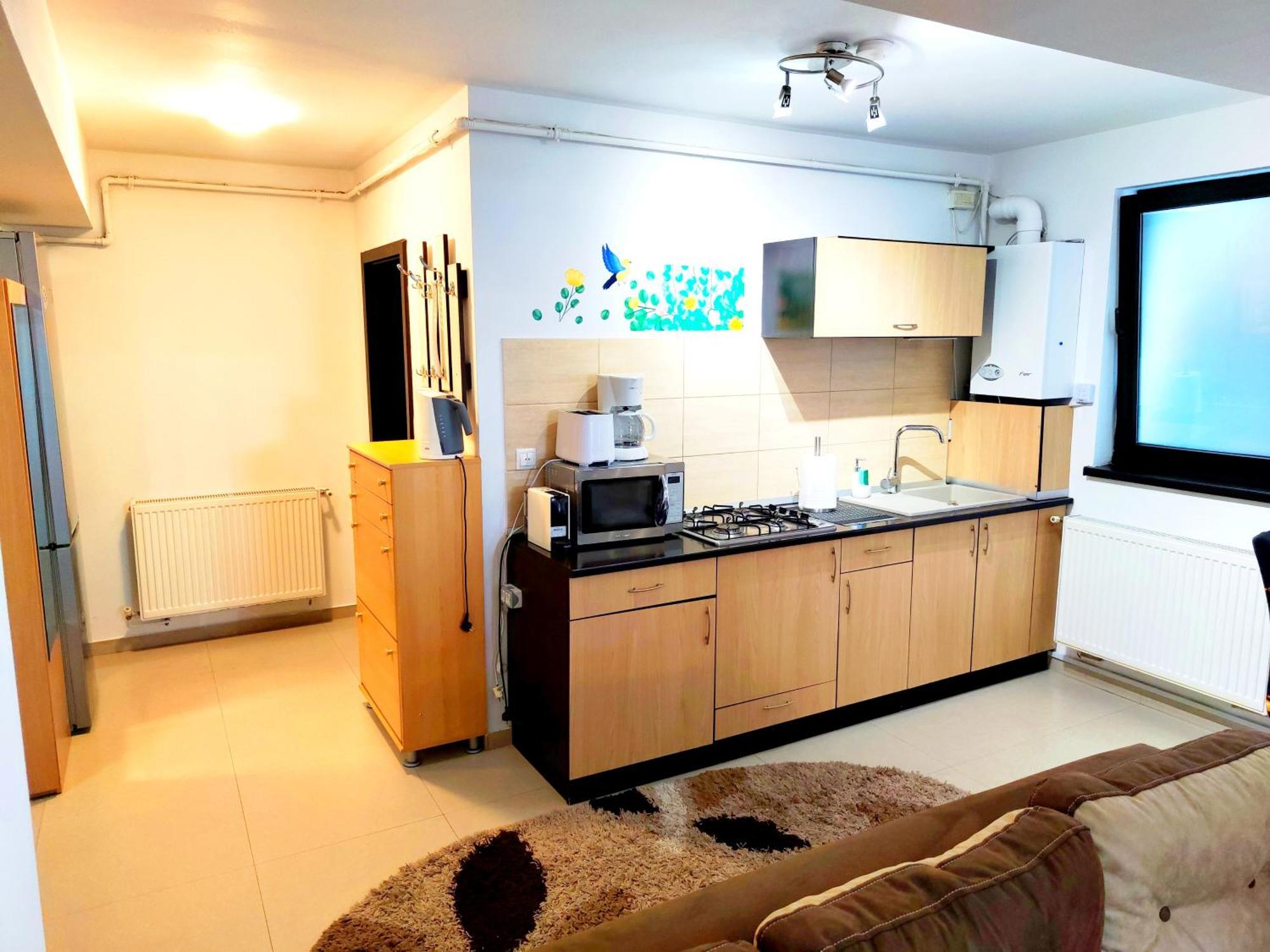 Studioul De Vis Apartment บราชอฟ ภายนอก รูปภาพ